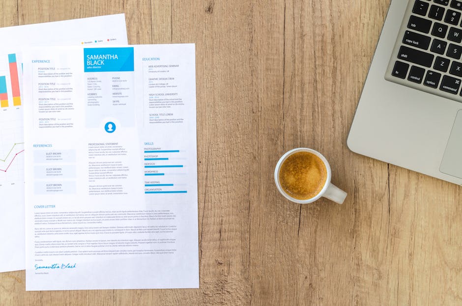 CV Examples by Degree