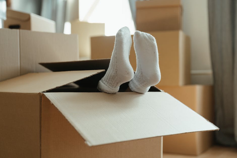 Moving day with boxes in a flat