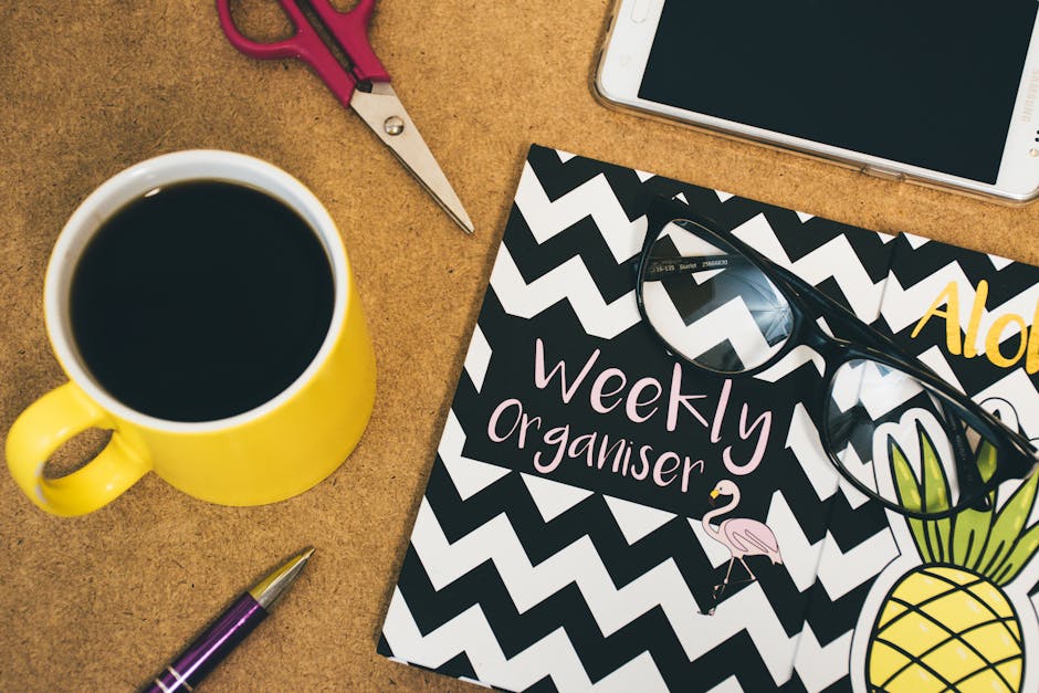 Productivity and Organisation
