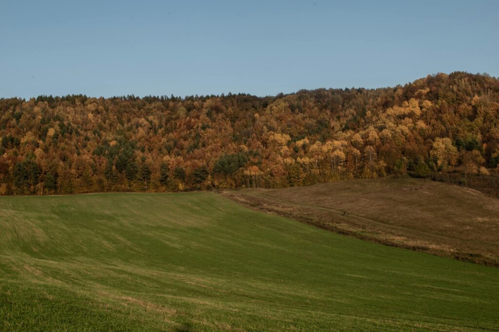 How to Defer or Change Course - student guide illustration