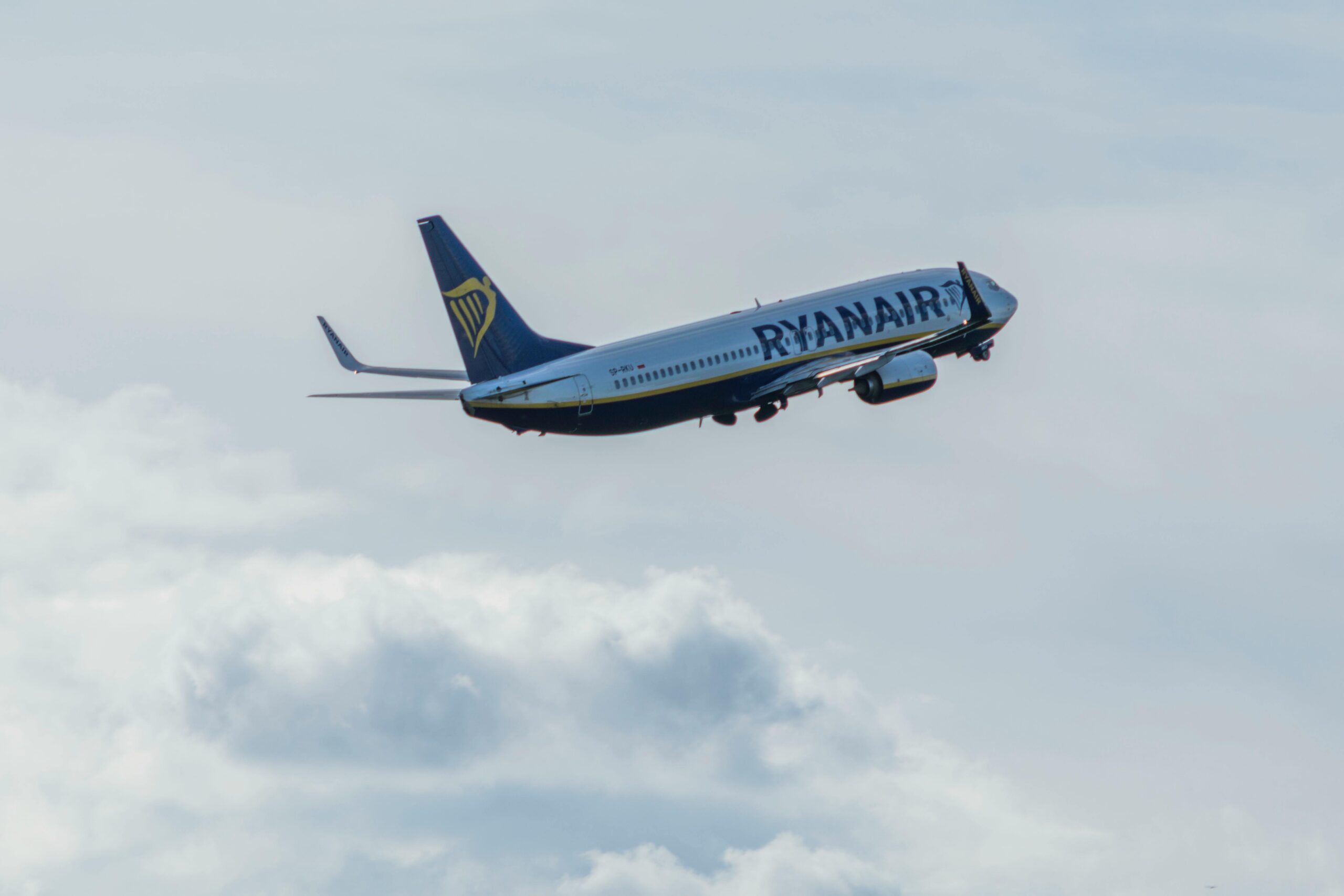 Why Finding Cheap Coach and Flight Deals is Essential