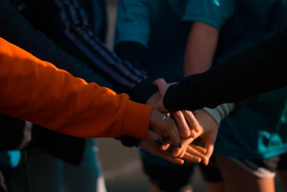 How university societies work in the UK