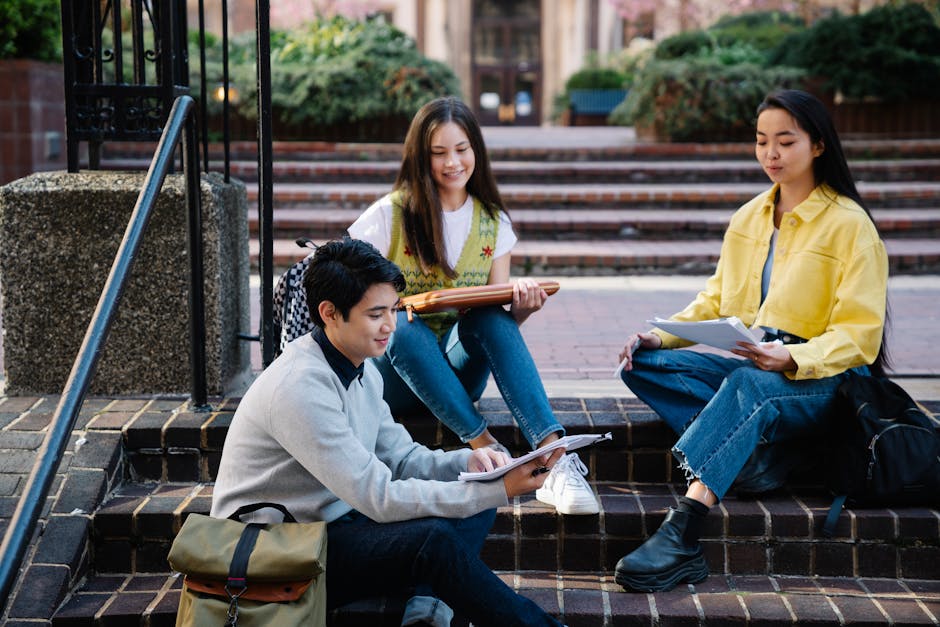 Group of students studying together outdoors on a university campus on a sunny day