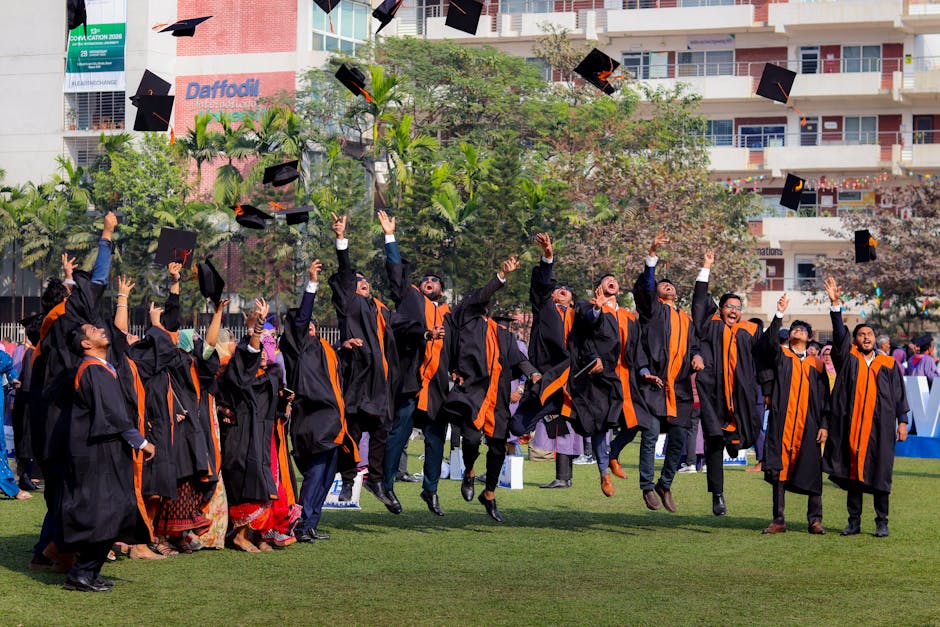 What Are Graduate Schemes?