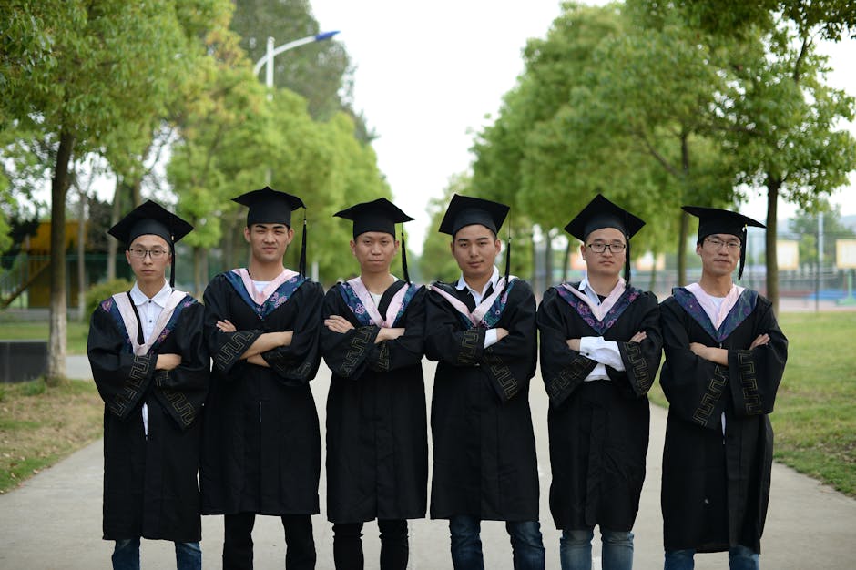What is a university student union and how does it work?